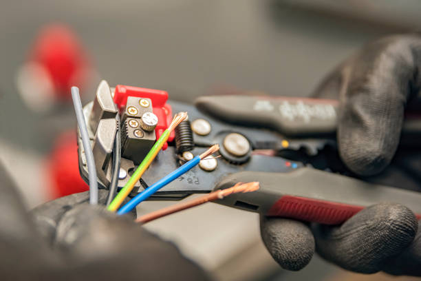 Best Electric Panel Repair  in Tonto Basin, AZ